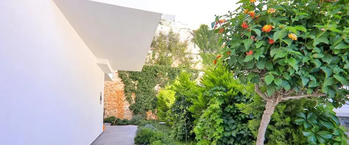Villa Bunny