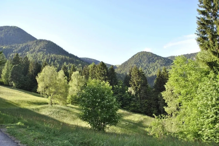 Classic Double room with mountain view