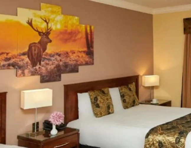 Deluxe Quadruple room