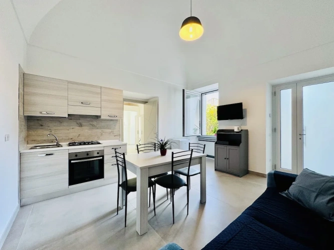 1 Bedroom Apartment