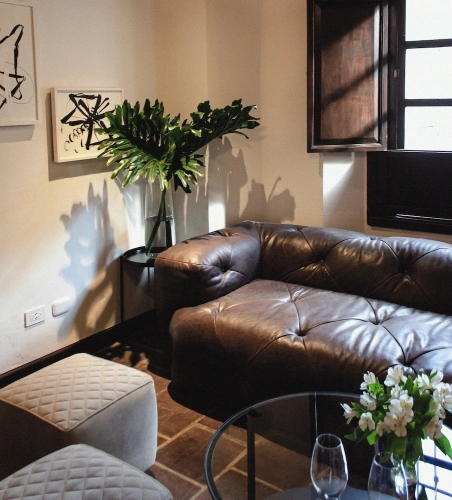Luxury Suite