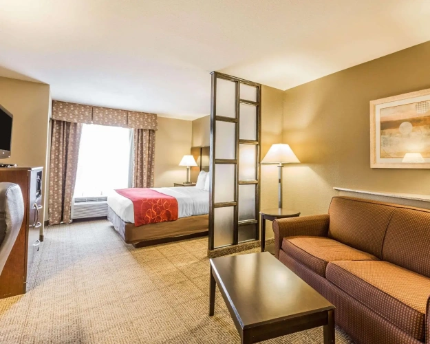 Suite