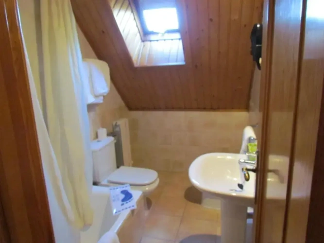 Standard Double Attic room