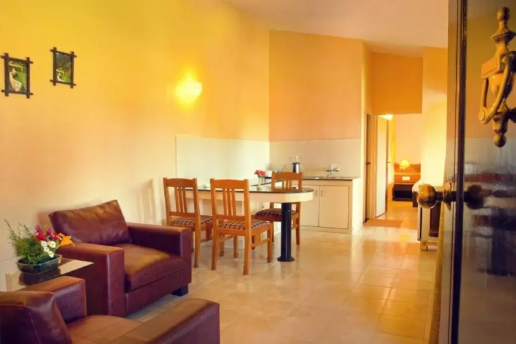 Premium Suite with balcony and with view