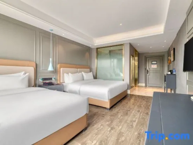 Deluxe Double Family room