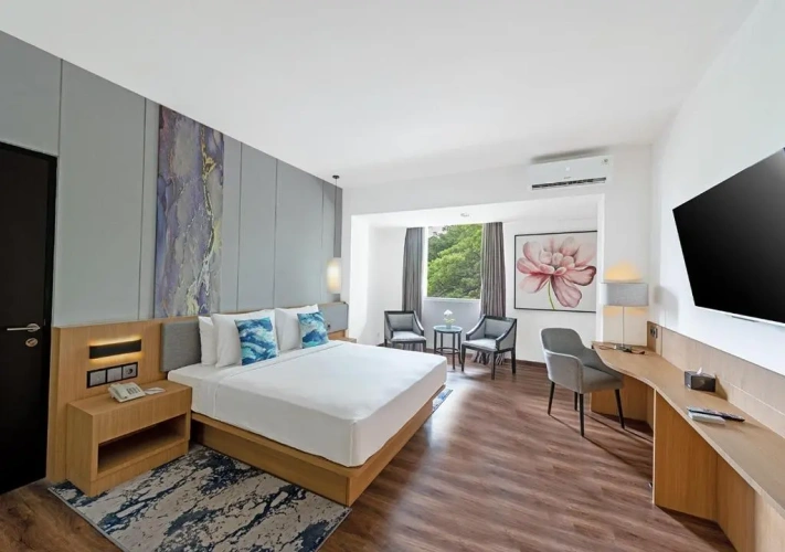 1 Bedroom Deluxe Double room