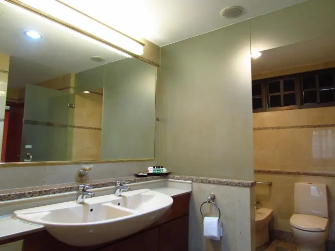 1 Bedroom Premier Apartment