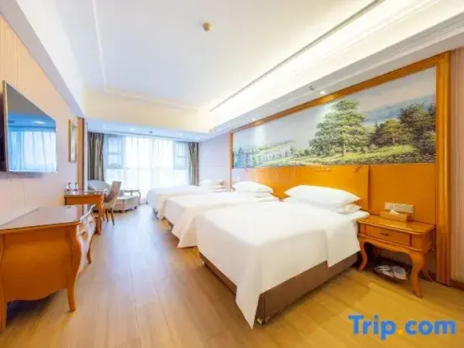 Deluxe Twin room with street view