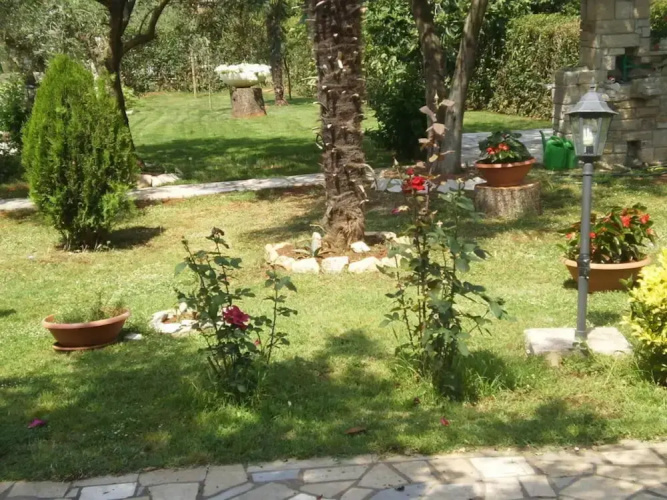Licul Modern Retreat