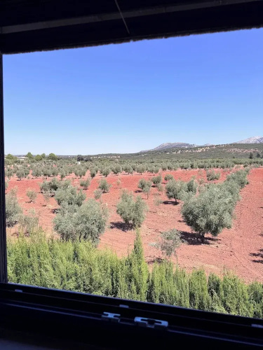La Guzmana de Ronda