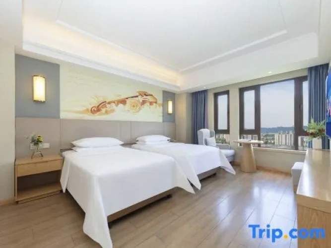 Standard Twin room with city view