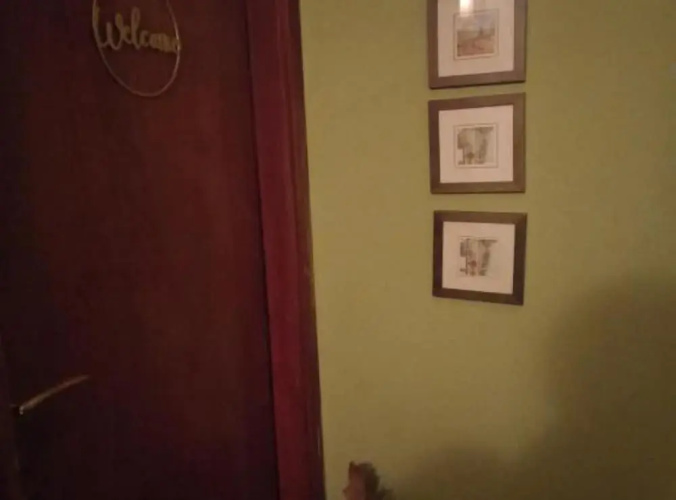 Apartment Suzi