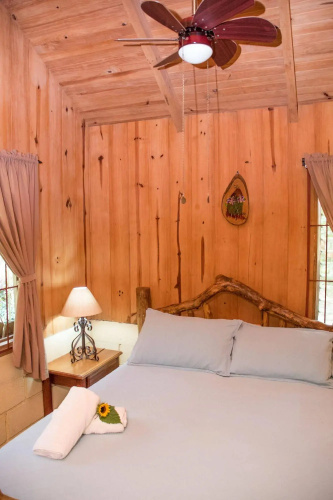 Arenal Oasis Eco Lodge