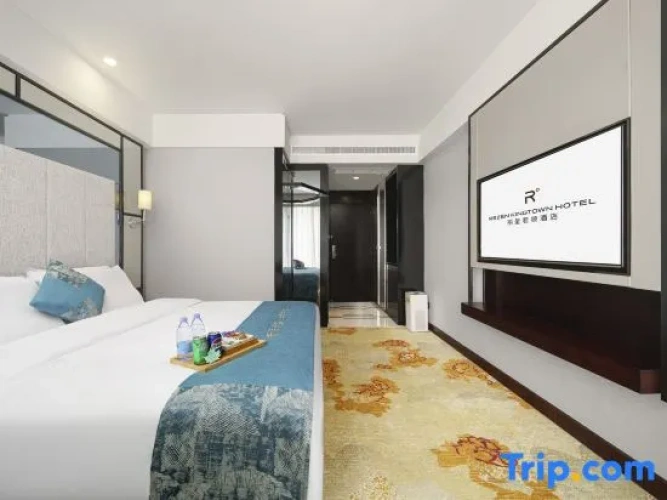 Standard Double room with city view