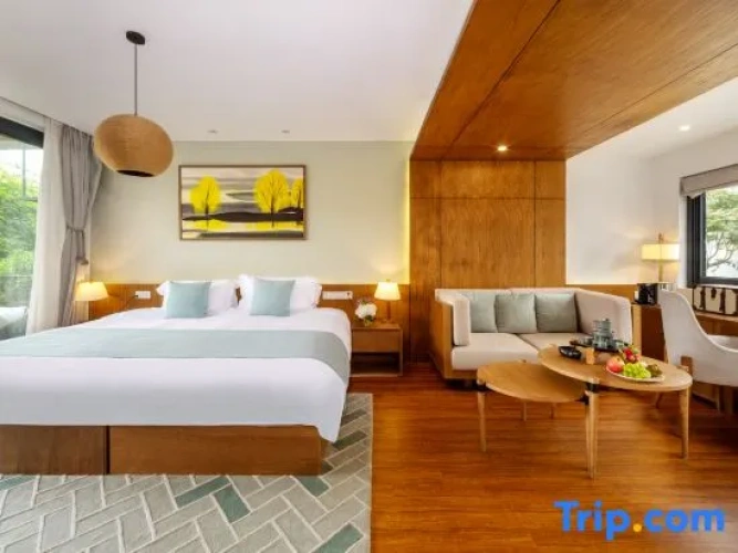Standard Double room with courtyard view
