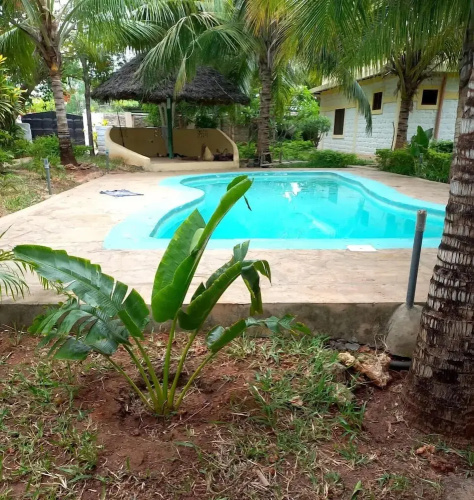 Stay. Plus Darad Homes Diani