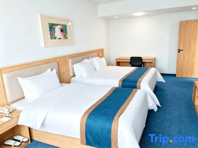 Deluxe Twin Suite