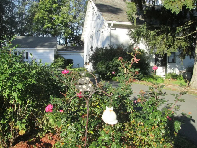 Buck's Homestead B&B