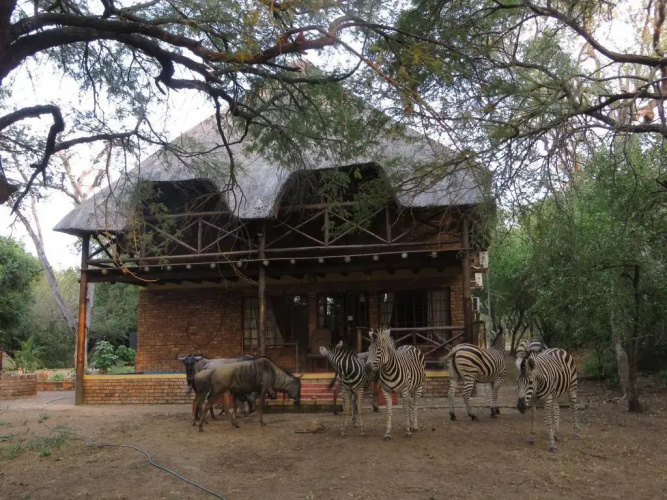 Rafiki's Resthouse