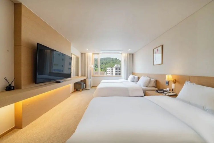 Hotel Biz Inn