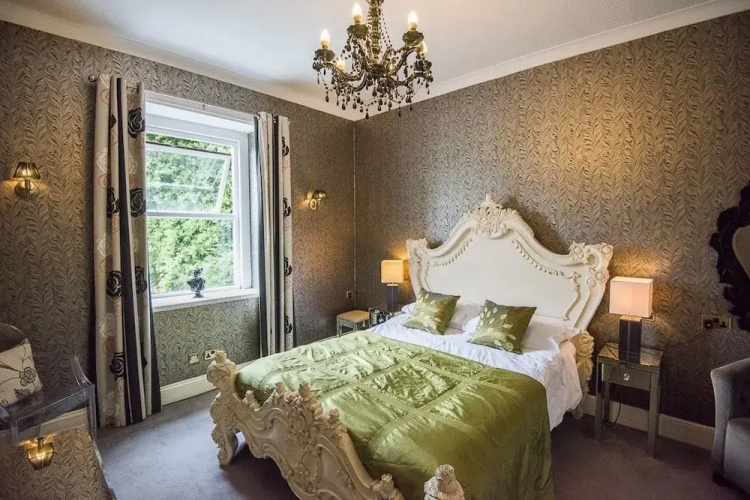 The Elmfield