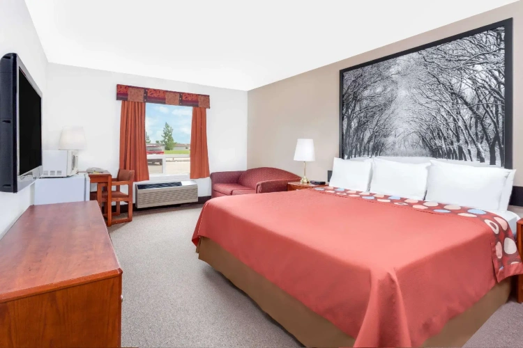 Standard Double room