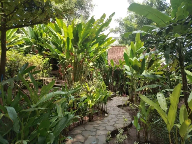 1 Bedroom Superior Double Bungalow with pool view