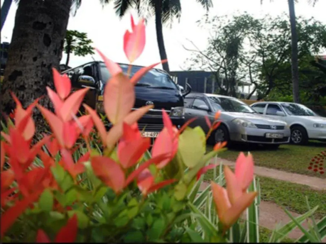 The Bliss Hotel