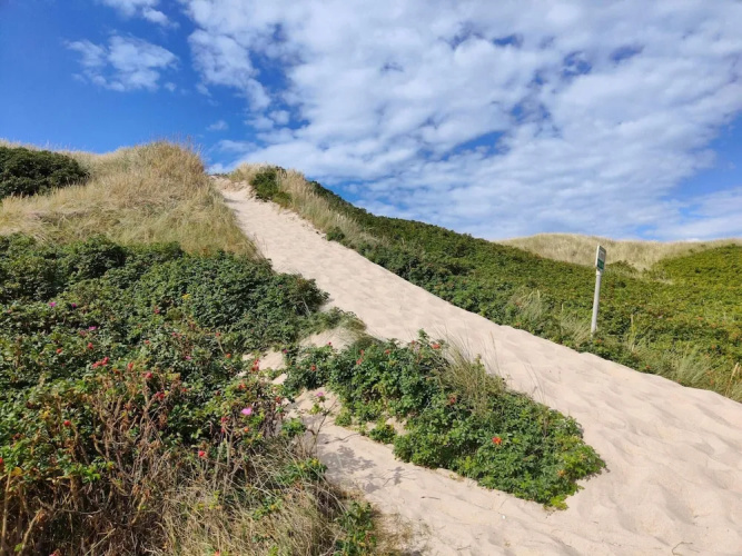Cozy Dune Retreat Near Sea - By Traum Ferienwohnungen