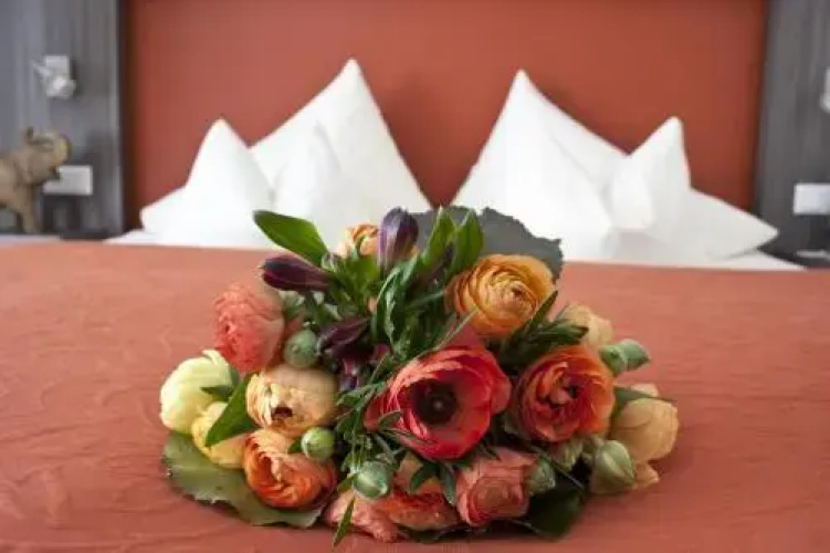Hotel Linner