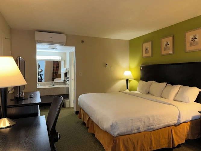 Standard Double Basement room