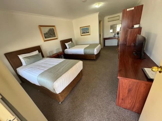 Deluxe Twin room with garden view