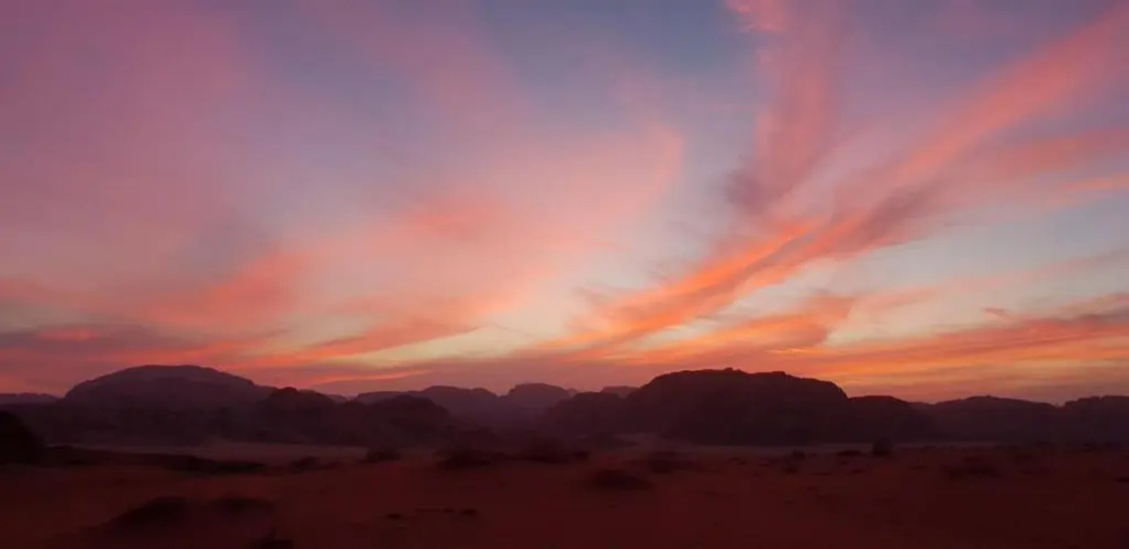 Real Bedouin Experience Tours & Camp