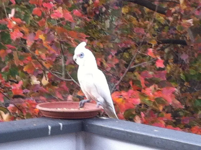 Valley View Cottage Warragul