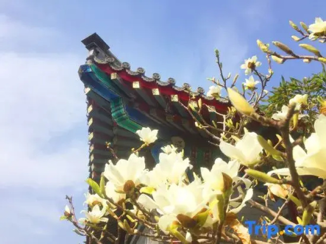 PALACE GARDEN Tai He Fu Hotel