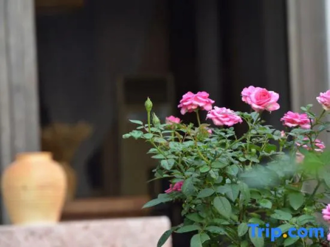 Xunkezhan Hostel