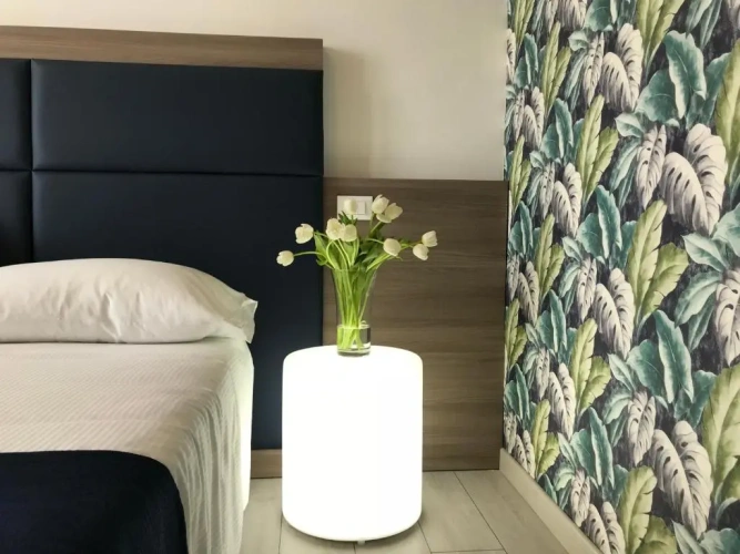 Standard Double room with balcony and with lake view