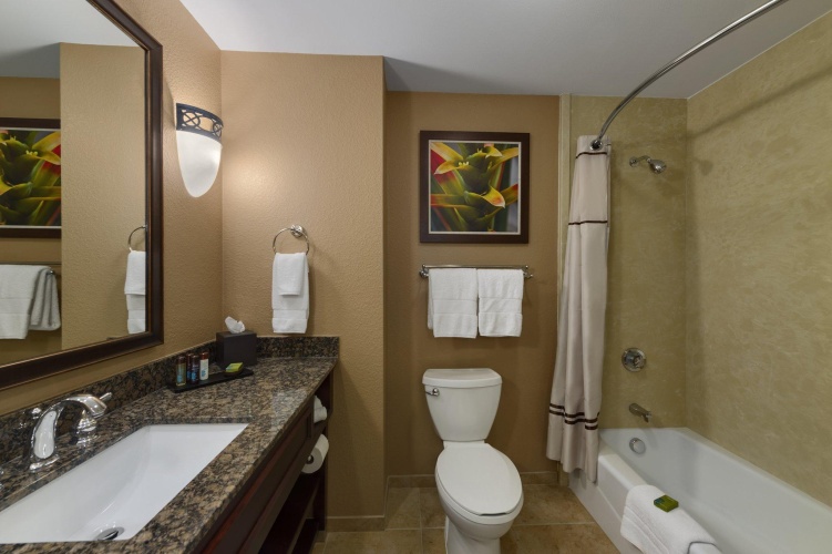 Embassy Suites Orlando - Lake Buena Vista South photo 9