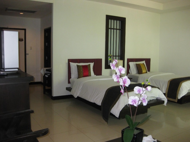 Deluxe Double room with balcony and with garden view