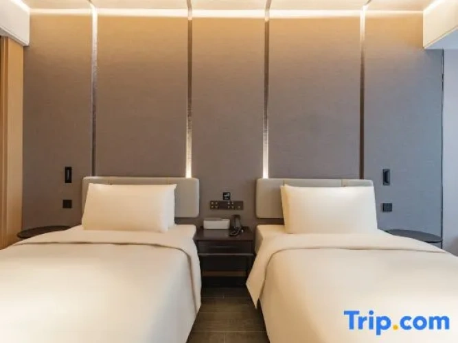 Executive Twin room