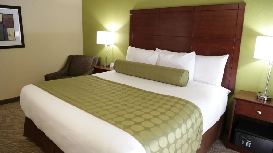 1 Bedroom Suite