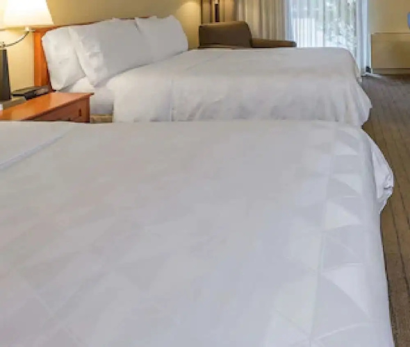 Holiday Inn Hotel & Conference Centre