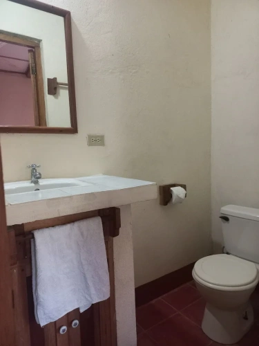 Standard Double room with garden view