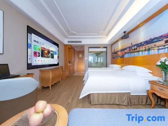 Standard Twin Family room