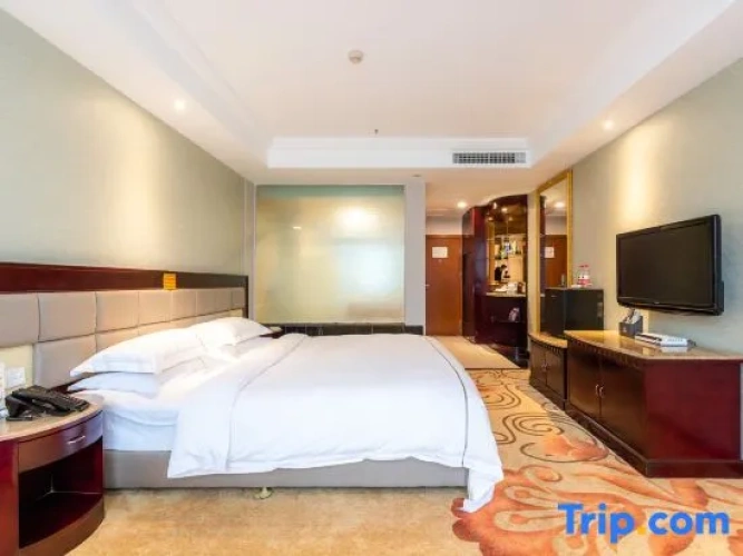 Standard Double room with city view