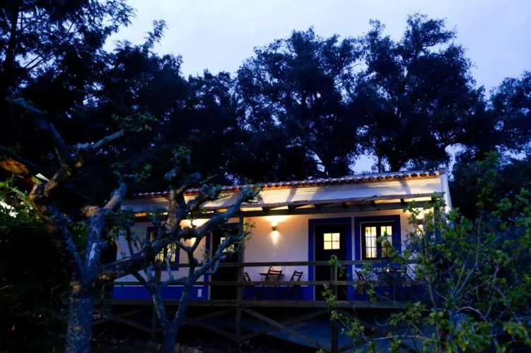 Standard Double room with garden view