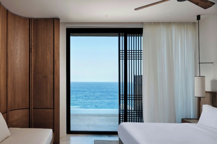 Premium Deluxe with Private Pool and Terrace Double Suite with sea view