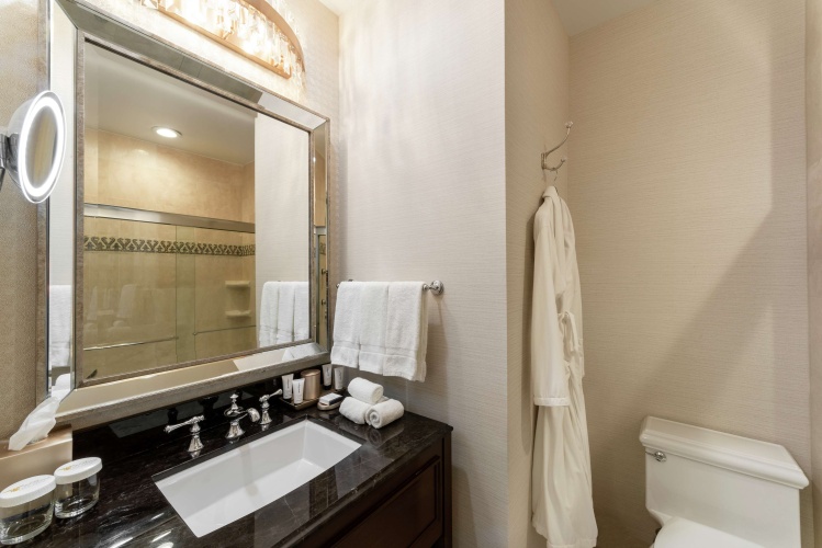 The Roosevelt New Orleans, a Waldorf Astoria Hotel photo 10