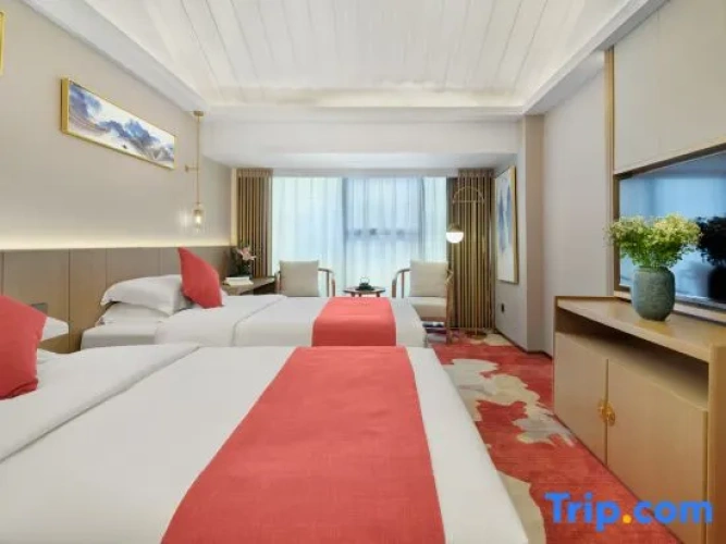 Standard Twin Family room