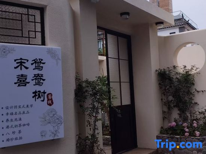 Songxi Magpie hotel